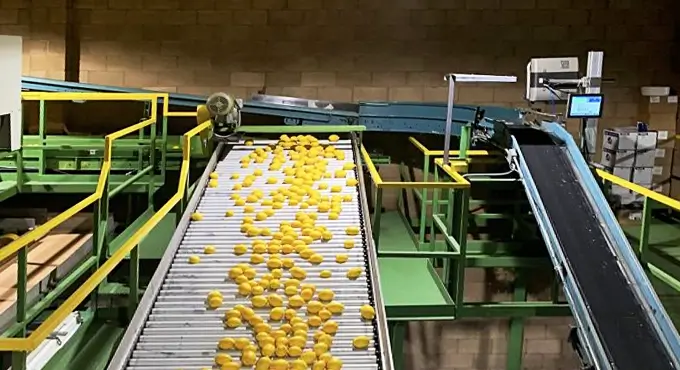 30 % produktionsökning hos ledande citrusodlare